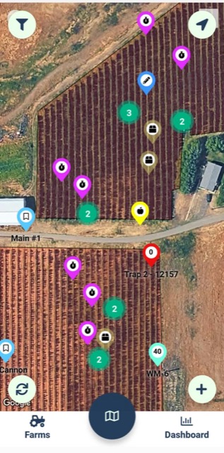 Harvest Engine field map showing scouting pins, bin counts, and trap data across orchard blocks